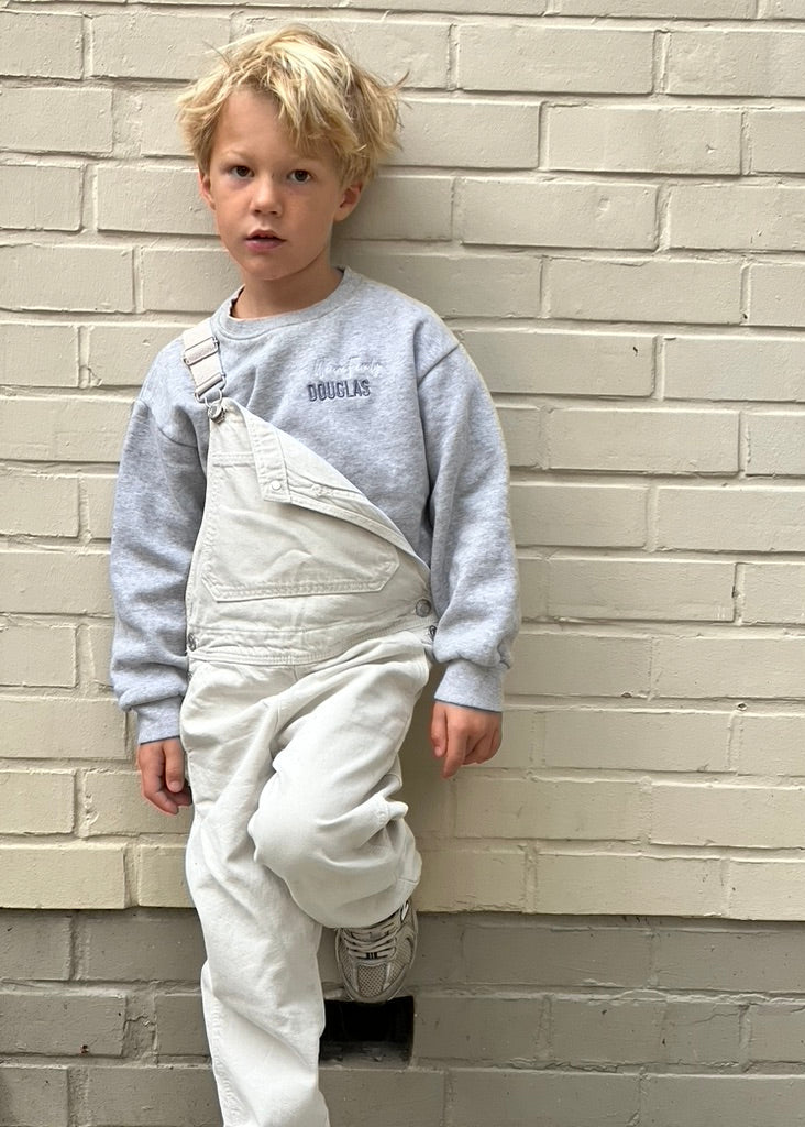 sweatshirt gris enfant de 0 à 5 ans we are family 